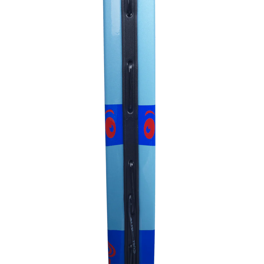 BABOLAT BALLFIGHTER 21