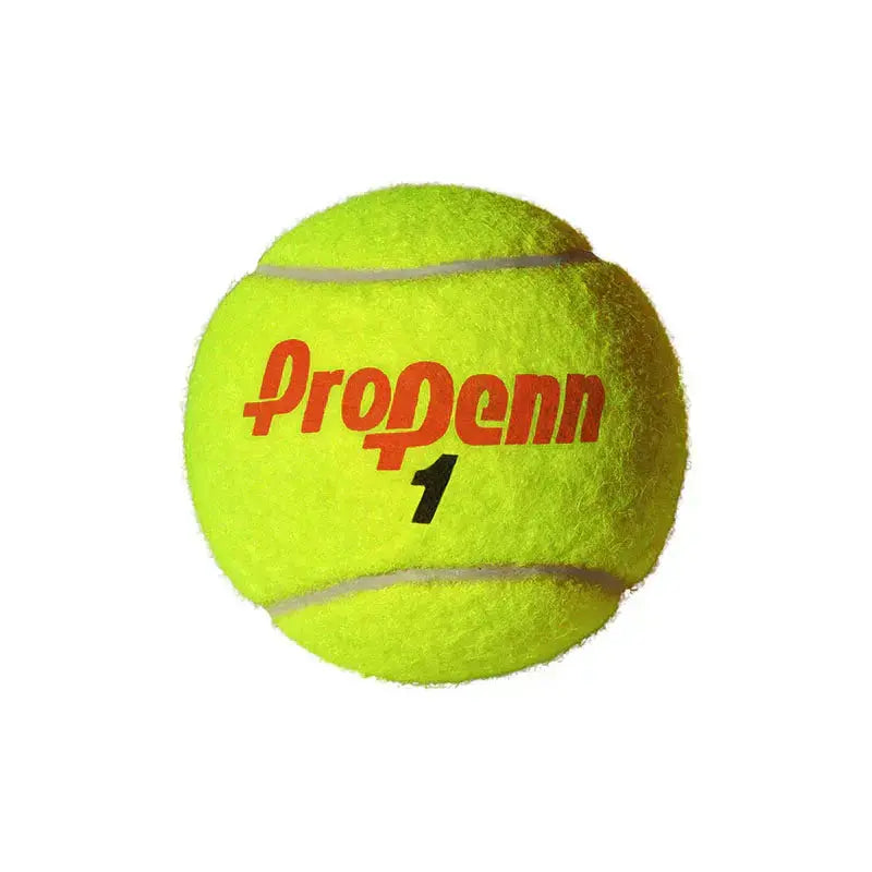 Head Pro Penn Marathon Regular Duty Tennis Balls 24 Cans - 72 Balls My Store