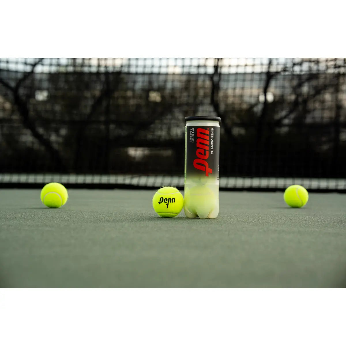 Head Penn Championship Extra Duty Tennis Balls