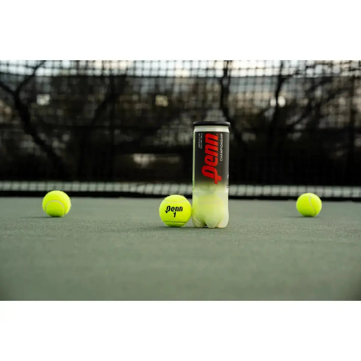 Head Penn Championship Extra Duty 12 Cans - 36 Tennis Balls Head