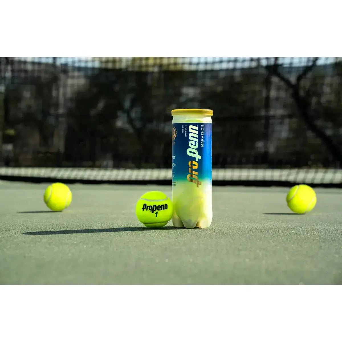 Head Pro Penn Marathon Extra Duty 24 Cans - 72 Balls Head