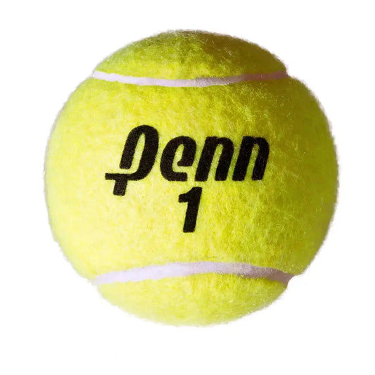 Head Penn Championship Extra Duty 12 Cans - 36 Tennis Balls Head