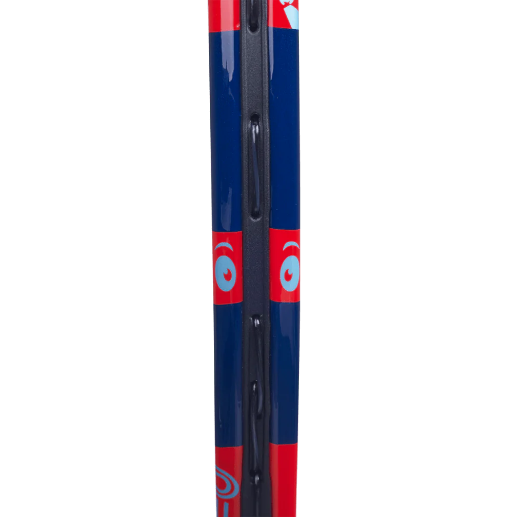 BABOLAT BALLFIGHTER 19
