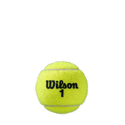Wilson ROLAND GARROS All Court 24 boîtes - 72 balles