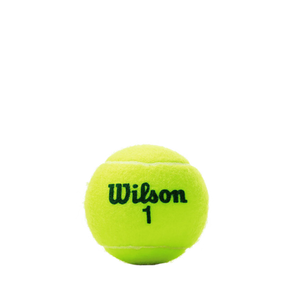 Wilson US Open Green Tournament 24 boîtes - 72 balles de tennis